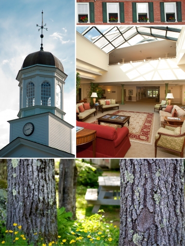 Peterborough NH Group